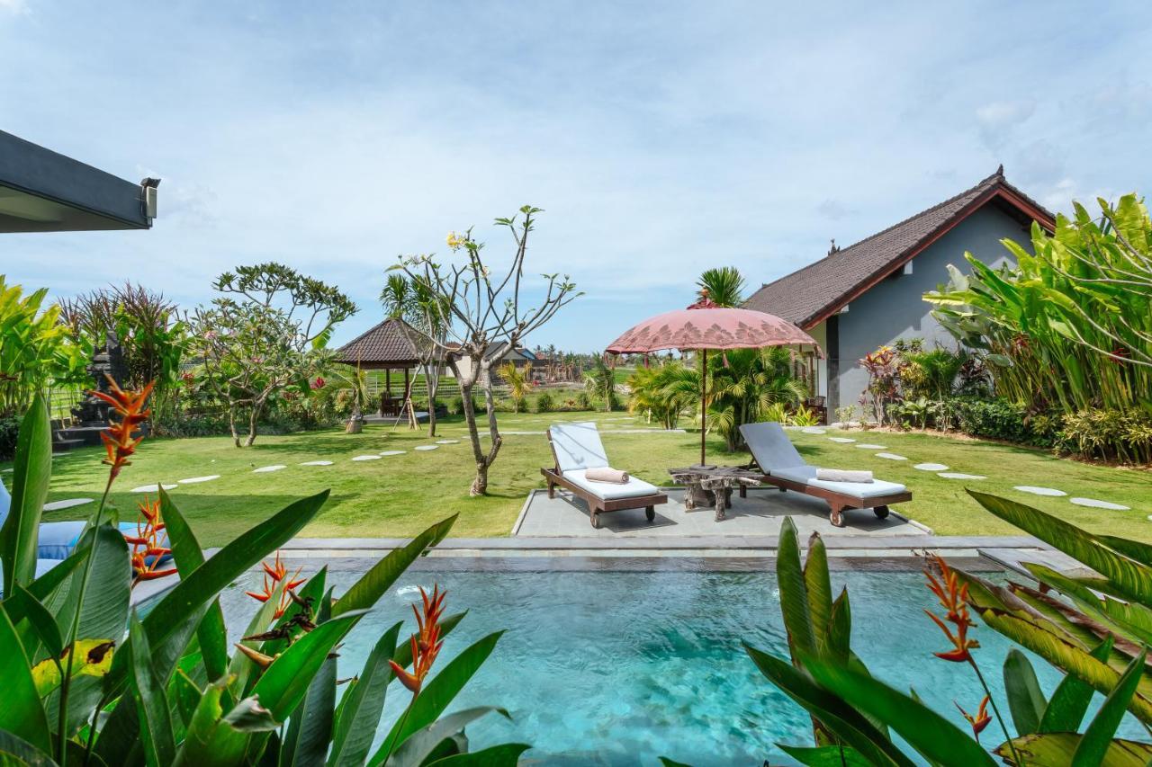 Carik Bali Guest House Canggu Dış mekan fotoğraf